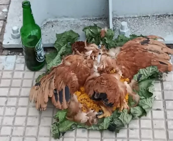  Despachos são deixados em frente a bancos de Barras e causam apreensão na população