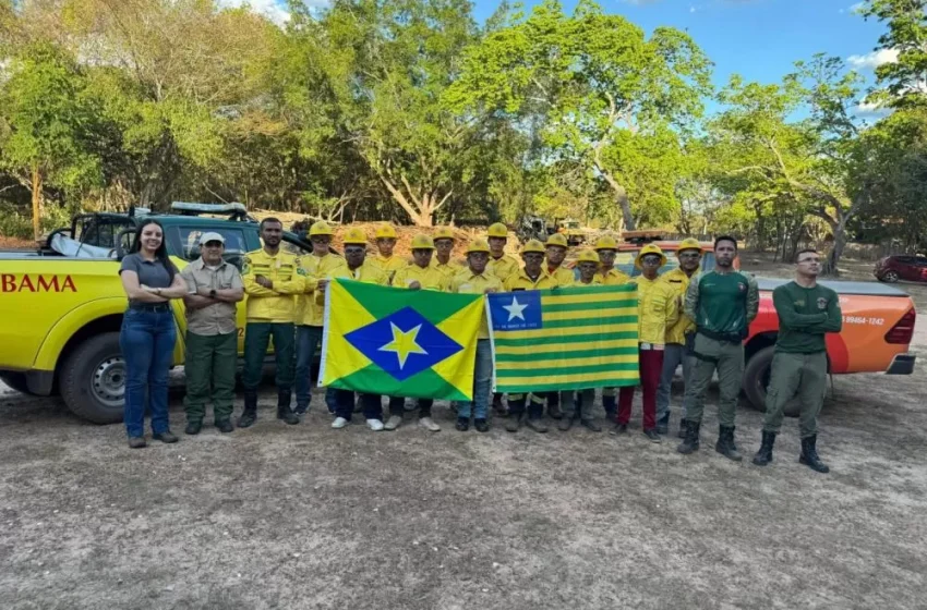  Piauí chega a quase 1,5 mil brigadistas formados após capacitação em Piracuruca