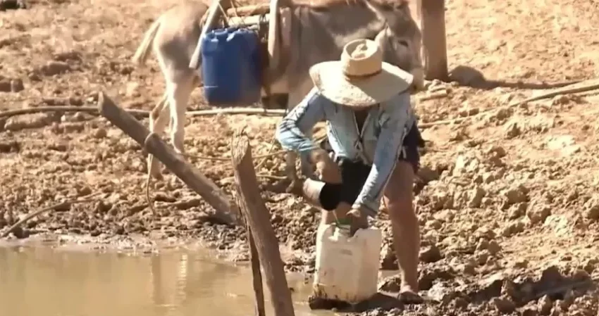  Seca provoca colapso hídrico no semiárido do Piauí e deixa agricultores em situação crítica