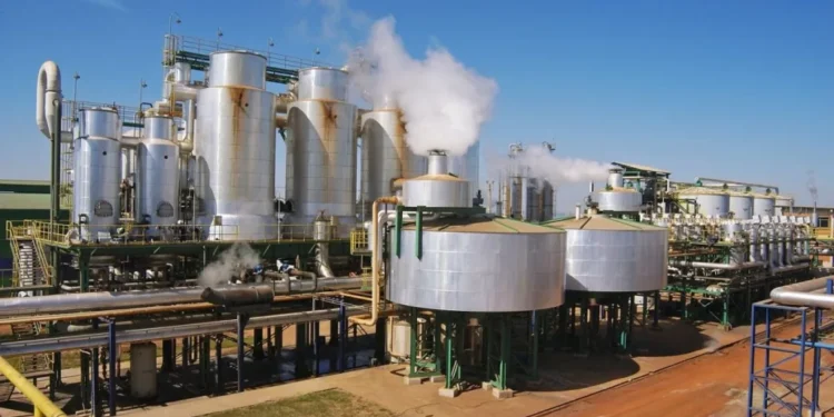  Matopiba atrai investimentos em usinas de etanol, mas oferta de milho é desafio