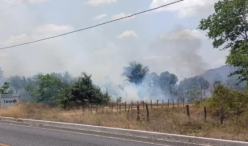Incêndio atinge área de mata próxima à Serra de Santo Antônio em Campo Maior