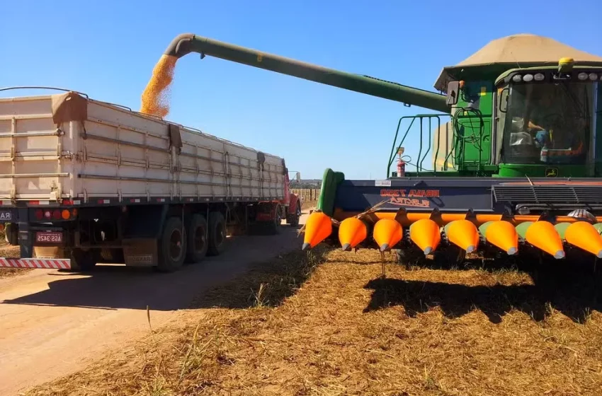  Produção agrícola do Piauí sofre queda de R$ 2,6 bilhões após sete anos de crescimento