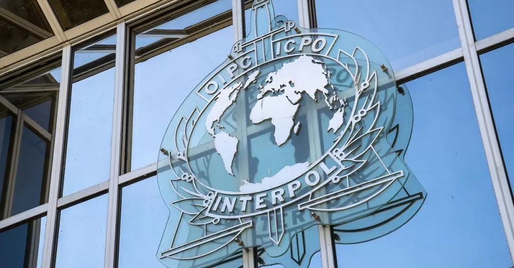 wp header logo 1023.png