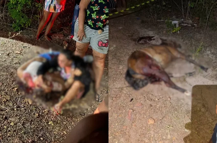  Acidente entre caminhão e carroça deixa um morto e duas pessoas feridas no interior do Piauí