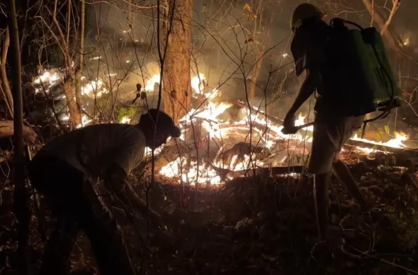  Incêndios atingem vegetação e se aproximam de casas no Piauí