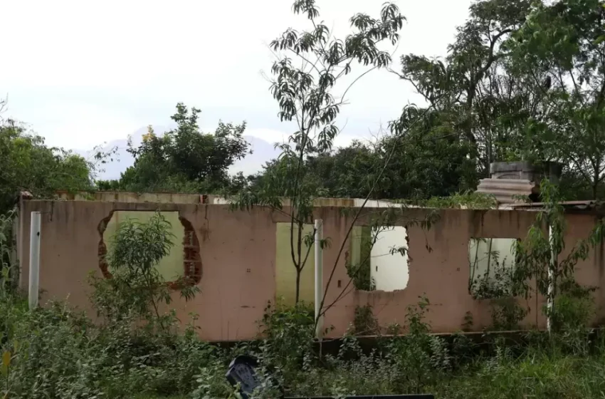  Crea-MG cancela registros de 15 engenheiros envolvidos na tragédia de Brumadinho