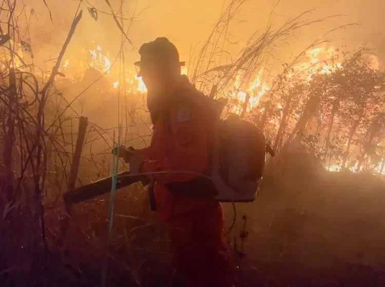 Fogo destrói 130 hectares e mobiliza operação intensa em Batalha