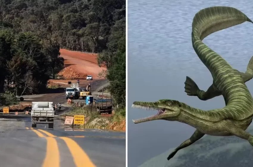 Obra da PR-364 é paralisada após descoberta de fósseis mais antigos que dinossauros no Paraná