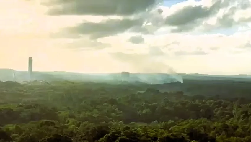 Incêndio atinge área de vegetação no Parque do Cocó, em Fortaleza