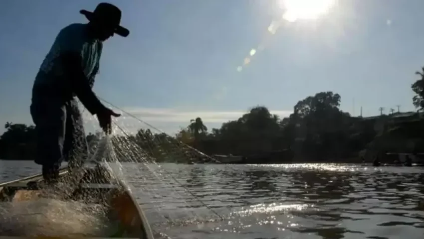  Governo suspende mais de 131 mil licenças de pescadores profissionais