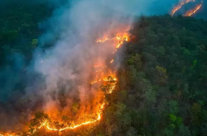 Clima úmido favorece a redução de queimadas no Brasil, diz Nottus