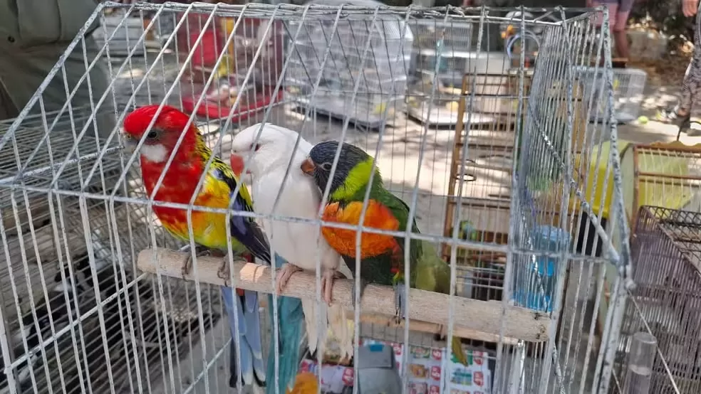 wp header logo 986.png