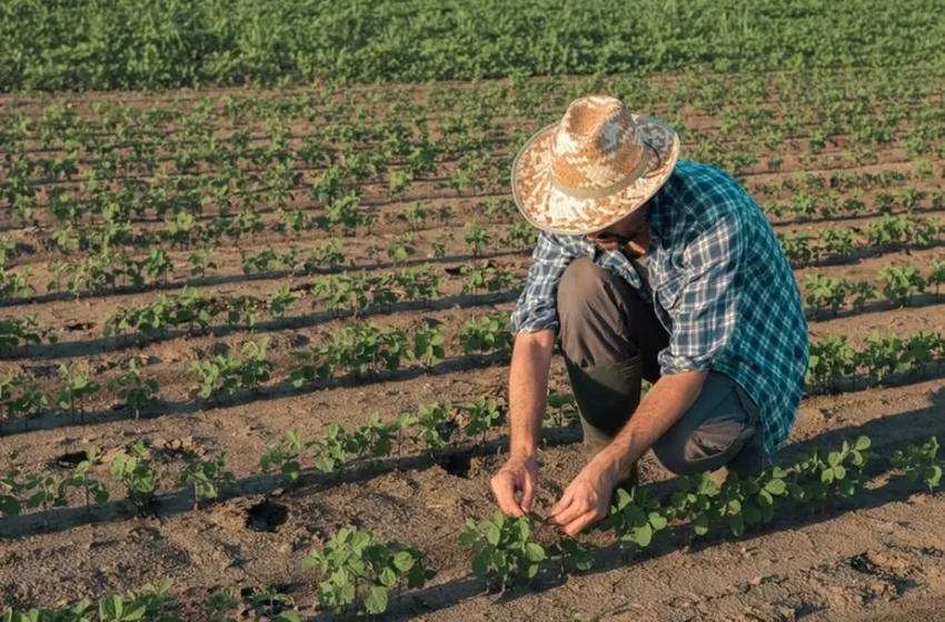 Produtores do Piauí têm até novembro de 2025 para atualizar cadastro e manter desconto na conta de energia