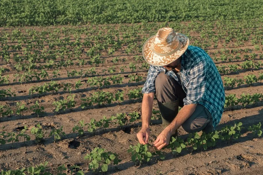 wp header logo 988.png