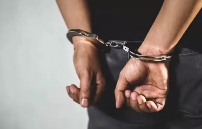 wp header logo 995.png