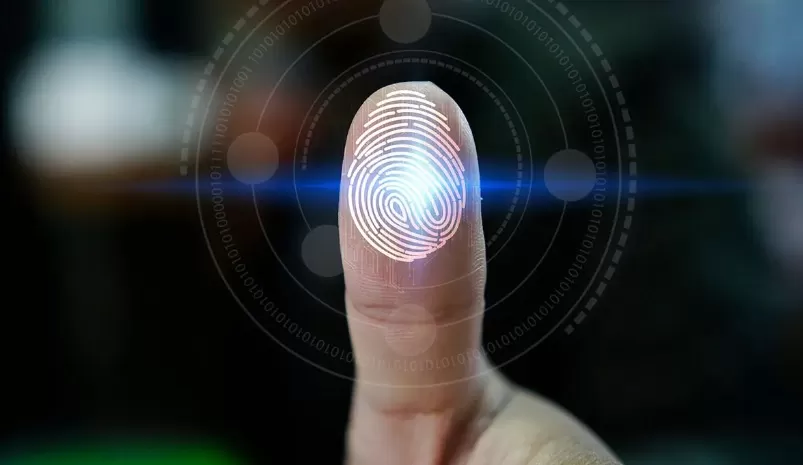 wp header logo 997.png