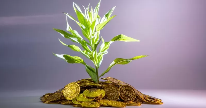 wp header logo 113.png