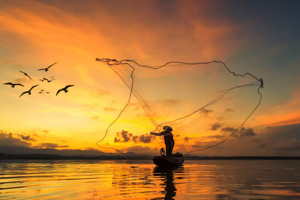 wp header logo 176.png