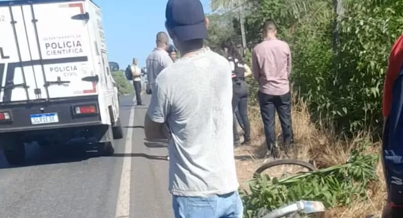 wp header logo 206.png