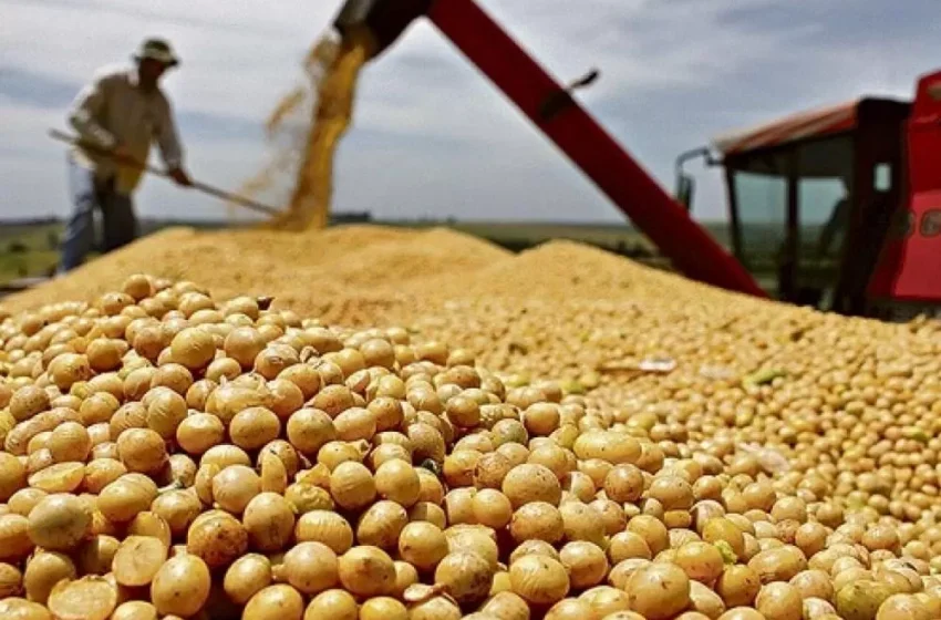  Agronegócio brasileiro tem melhor outubro da história, com exportações de US$ 15,4 bilhões