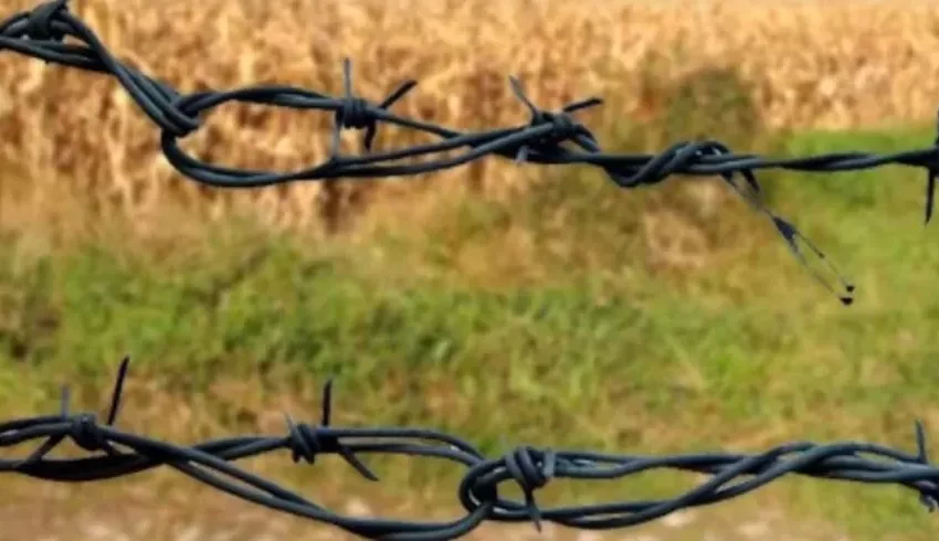  Conflitos por terra aumentaram 178% em municípios da Amazônia Legal no MA