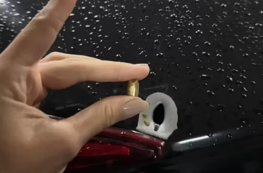  Jogadora de vôlei é baleada em tentativa de assalto no Rio e desabafa ‘Nasci de novo’