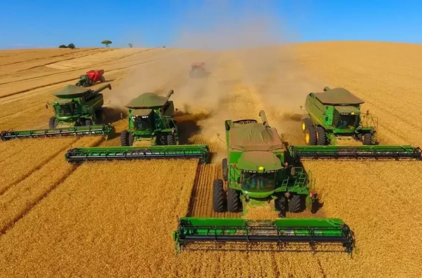  Plantio de soja atinge 29% no Piauí, mas irregularidade das chuvas preocupa produtores