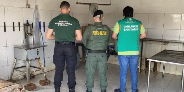  Operação Tô Fraco combate abate clandestino de aves no Ceará e apreende três toneladas de carne