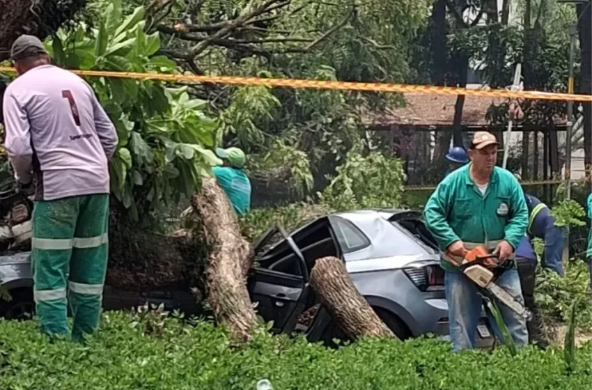  Apagão após ciclone pode gerar prejuízo de até R$ 100 milhões a bares e hotéis em São Paulo