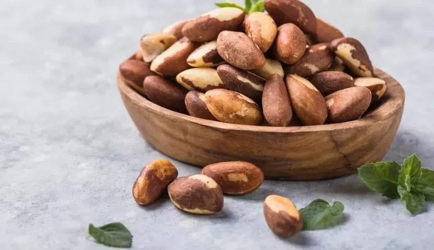  Piauí é o estado brasileiro com maior queda na produção de castanha de caju em 2025, diz IBGE