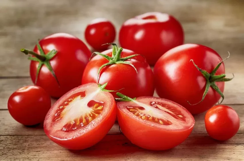  Preço do tomate cai mais de 26% em novembro nos mercados atacadistas