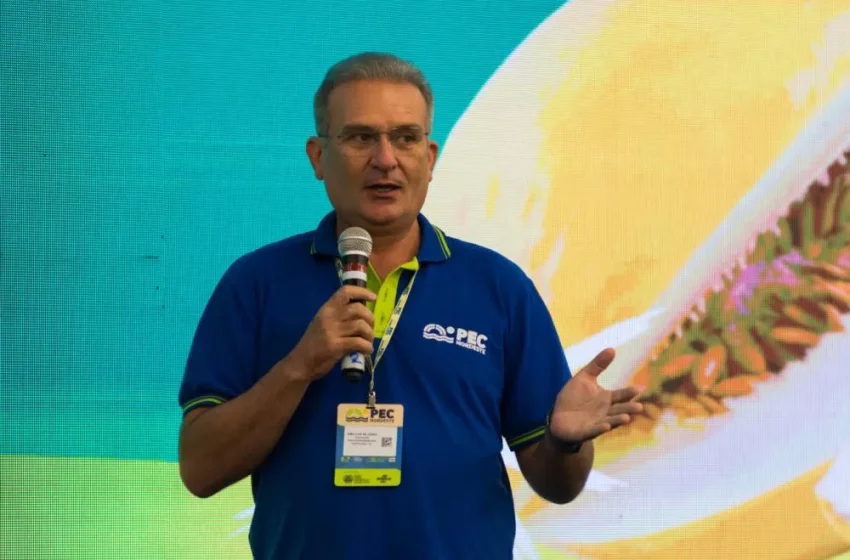  Agropecuária do Ceará cresce 5,3% e lidera alta da economia no 3º trimestre de 2025