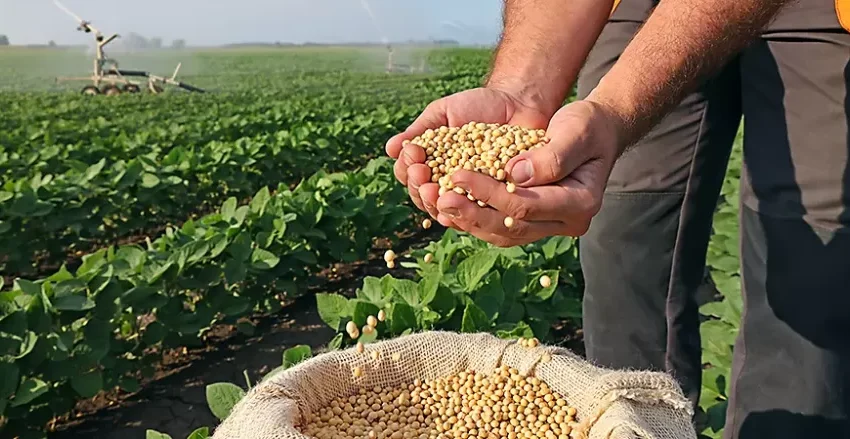  Plantio da soja 2025/26 avança no Piauí e já alcança 95% da área estimada, aponta Aprosoja