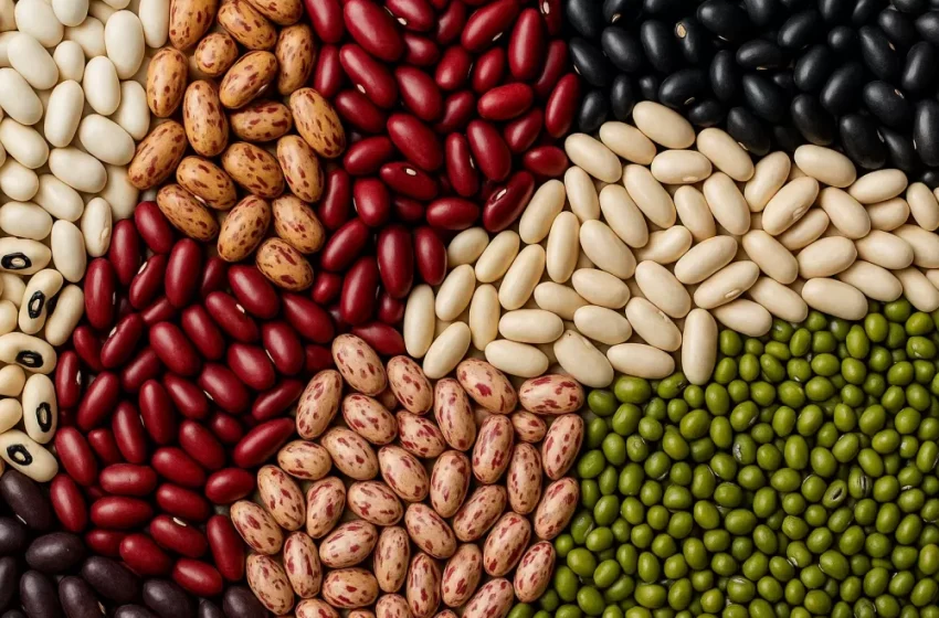  Brasil abre novos mercados para feijão em meio a recorde de exportações
