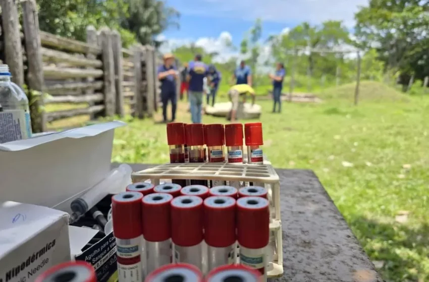  Maior investigação sanitária confirma baixo risco de doenças no rebanho bovino do Piauí