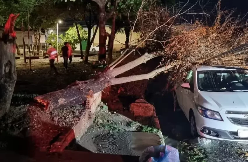  Árvore cai sobre carro durante forte chuva em Teresina (PI)