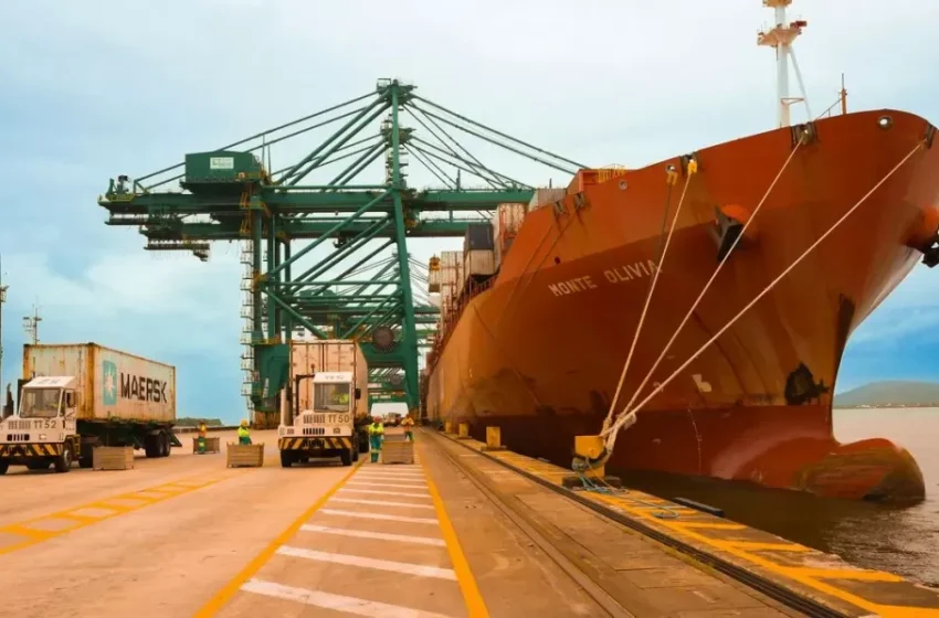  Terminal de Grãos do Maranhão registra recorde de movimentação em 2025