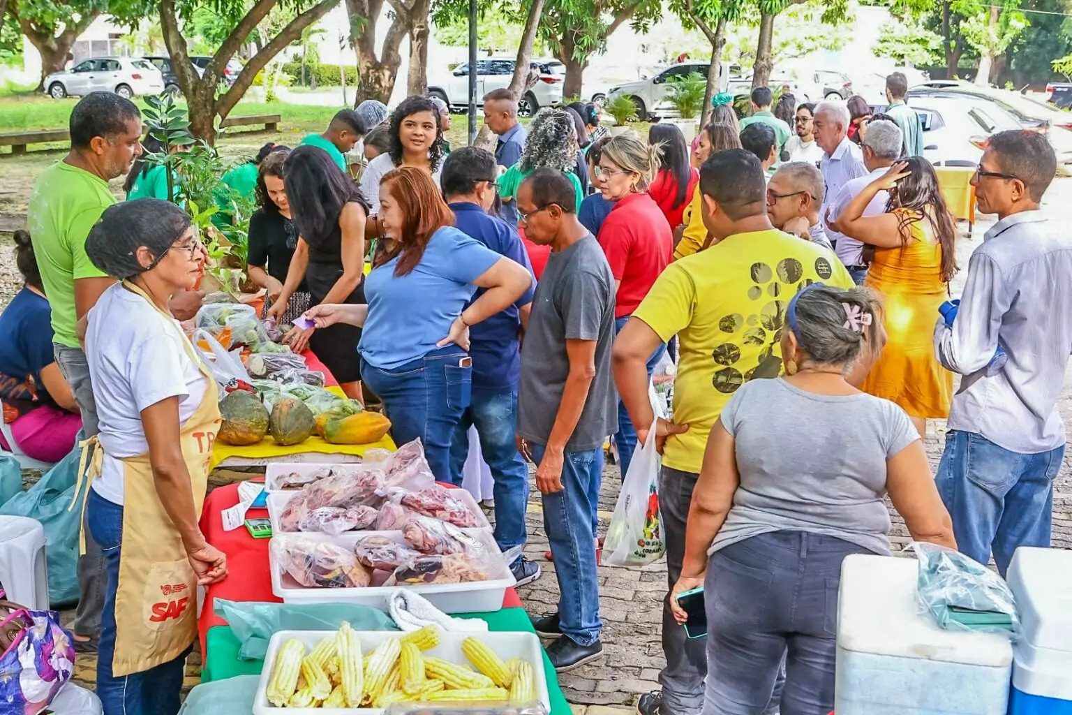 Foto: Reprodução/Secom Piauí