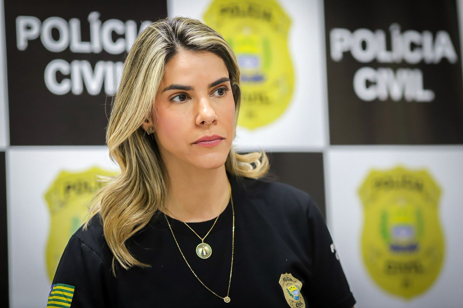 Foto: Reprodução/Secom Piauí