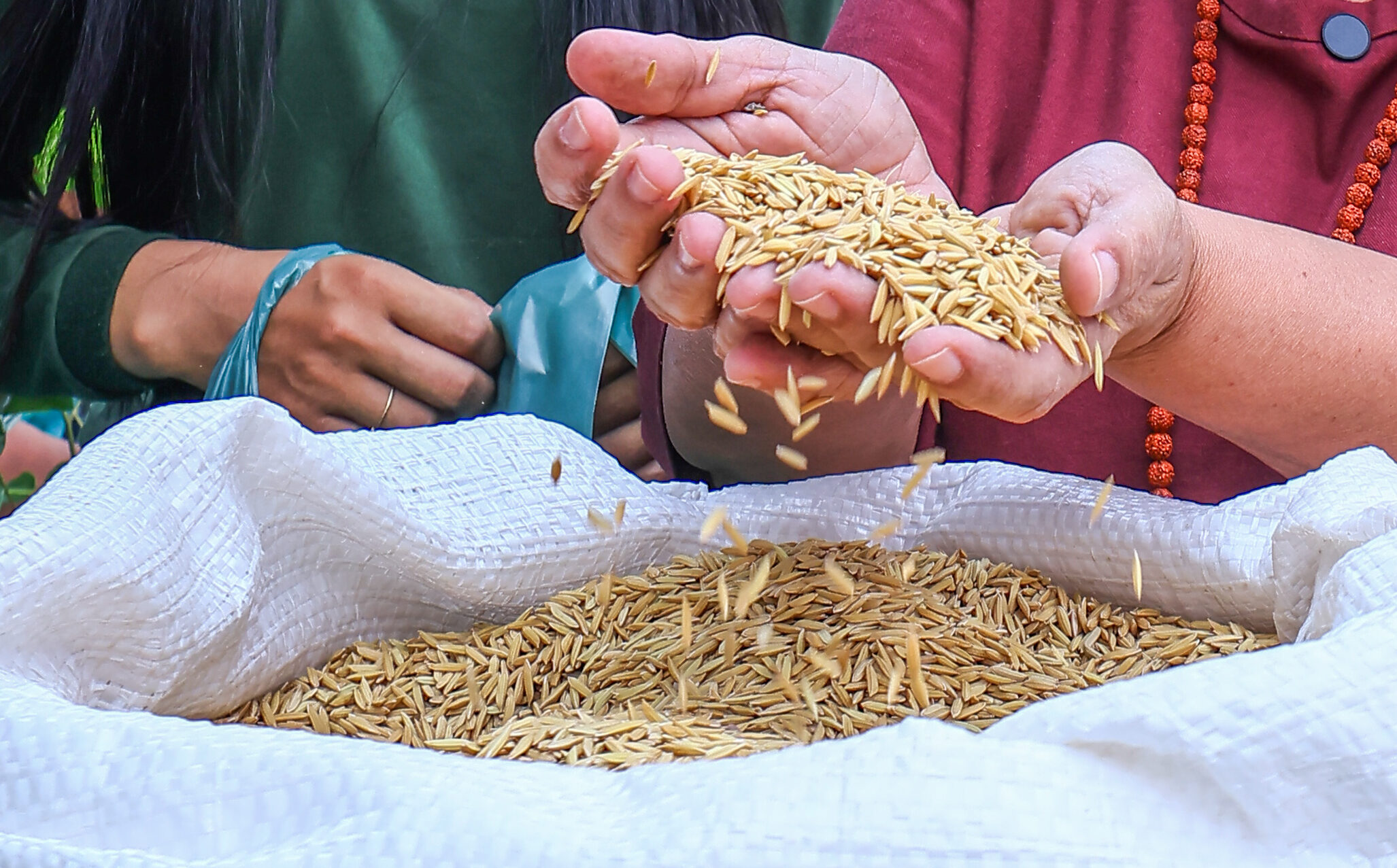 Foto: Reprodução/Secom Piauí