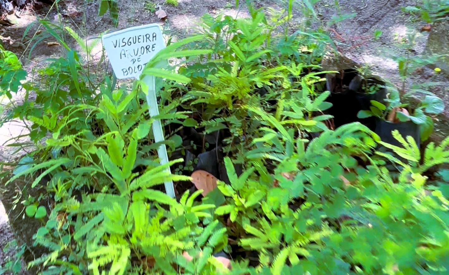 Foto: Reprodução/Secom Ceará