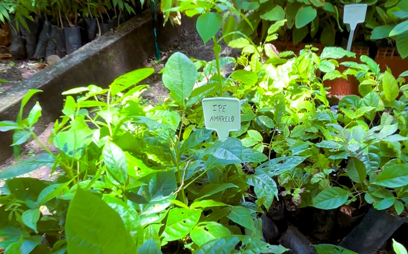 Foto: Reprodução/Secom Ceará