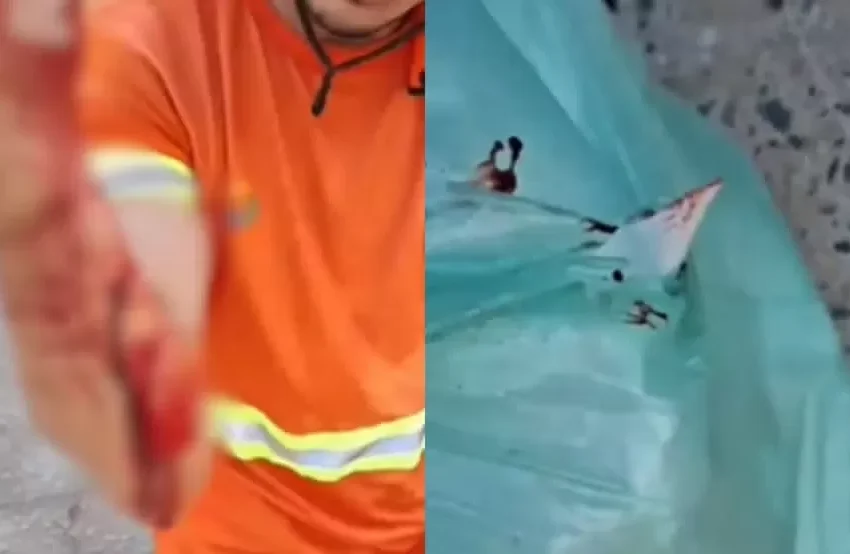  Gari sofre corte no braço ao recolher sacola de lixo com prato quebrado em Teresina, no Piauí