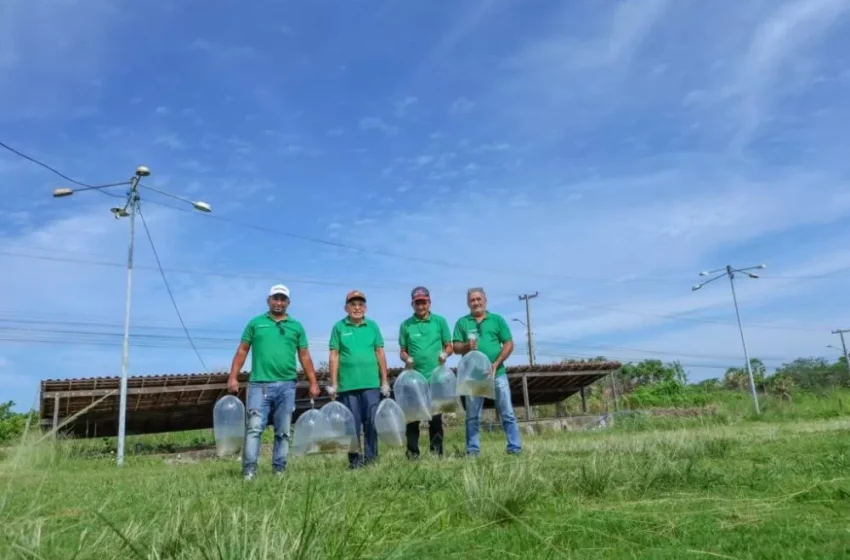  SAF realiza primeira entrega de alevinos do ano e beneficia agricultores familiares de quatro municípios piauienses