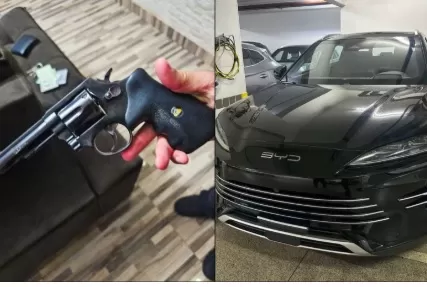 wp header logo 204.png