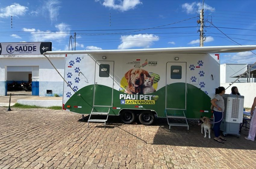 Castramóvel: Clínica veterinária volante bate recorde de castrações e inicia 2026 com ação histórica no sul do Piauí