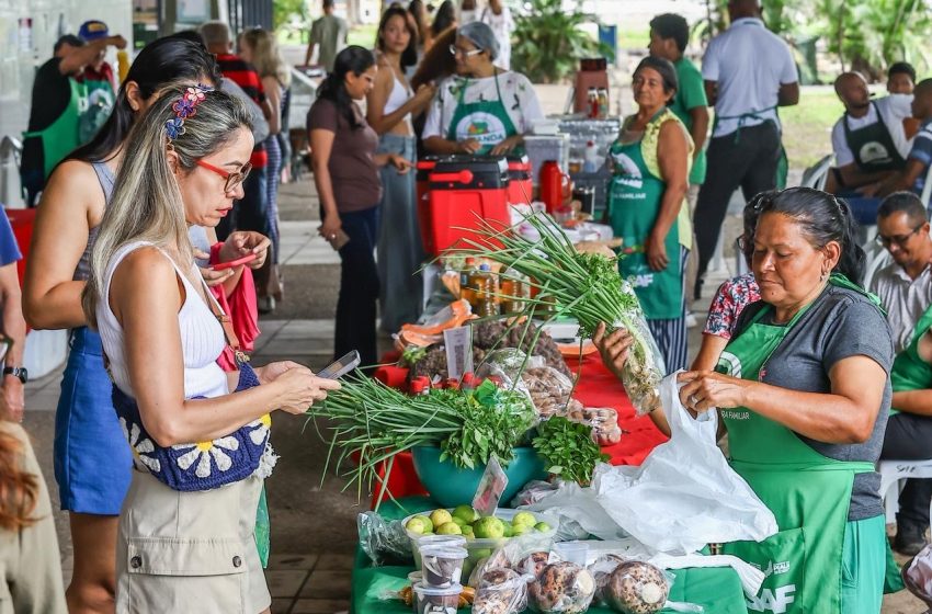  Agricultores familiares comemoram vendas no retorno do projeto Quitanda