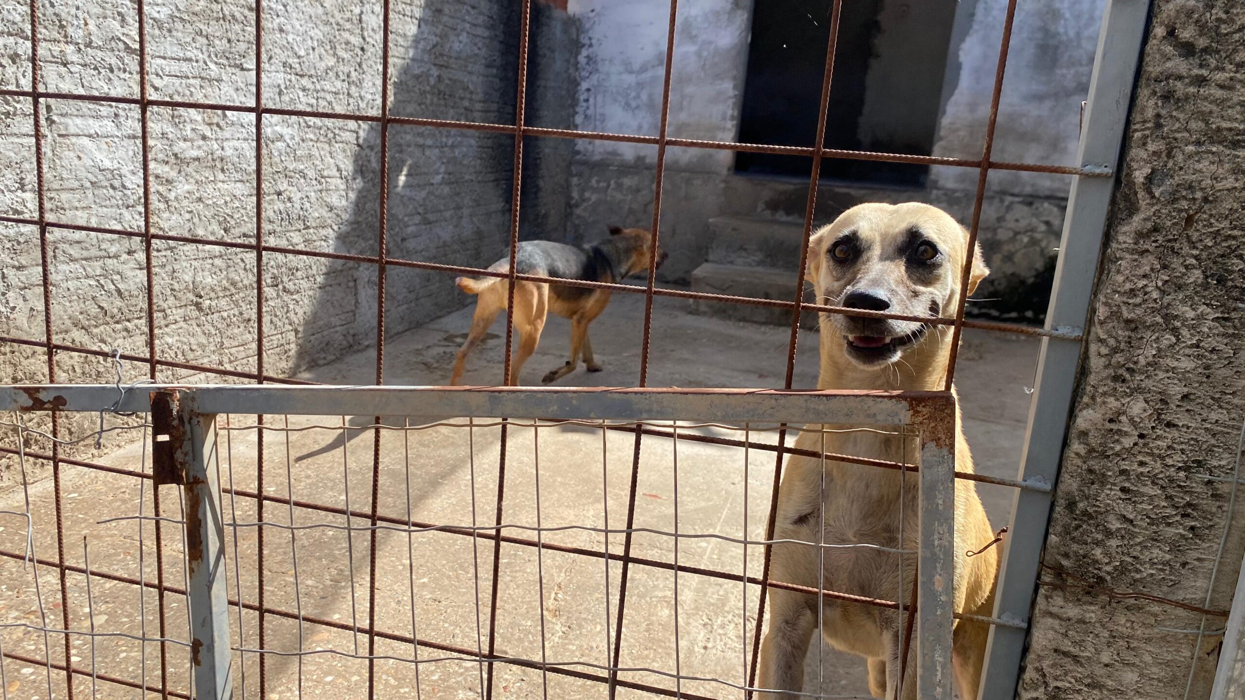 Foto: Reprodução/Secom Piauí