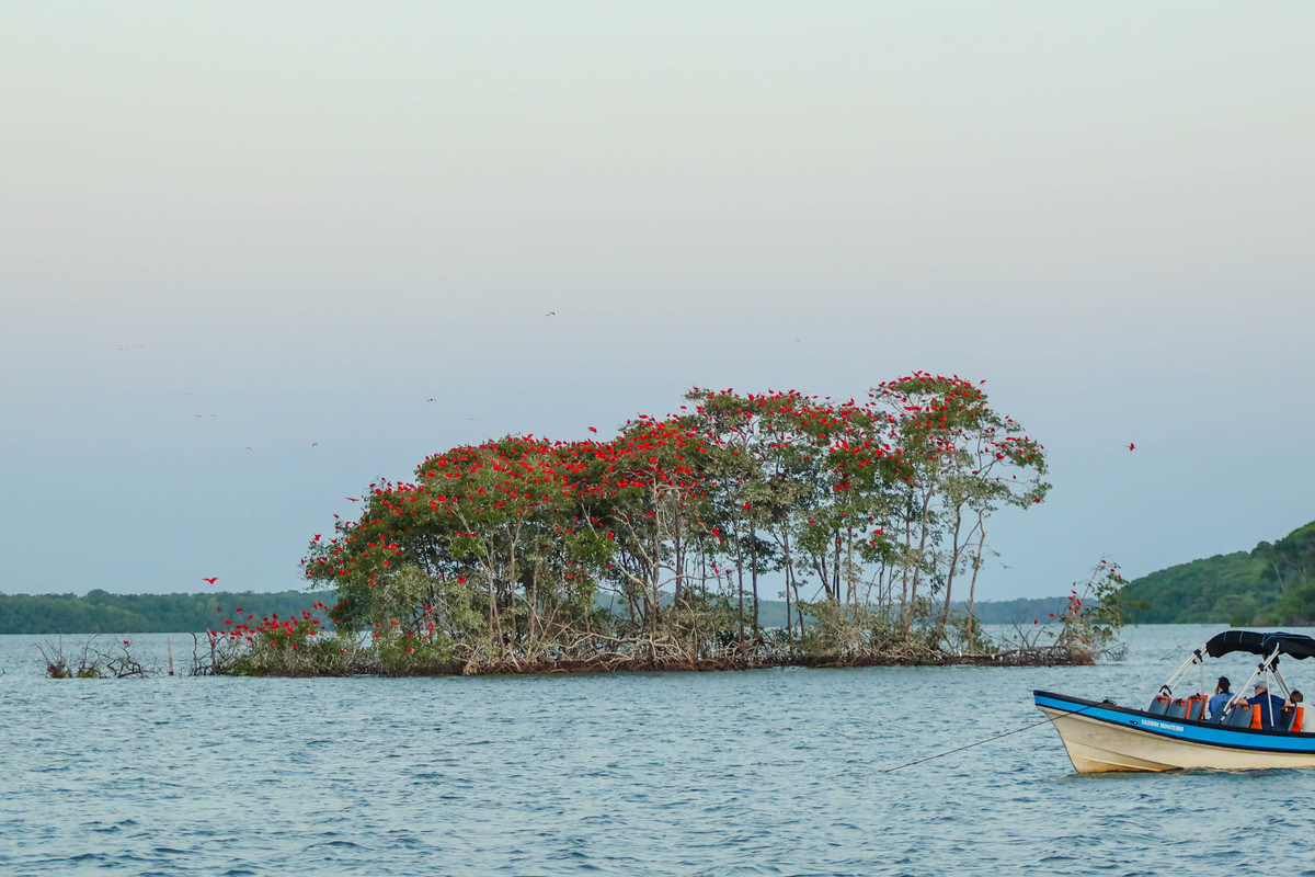 Foto: Reprodução/Secom Piauí