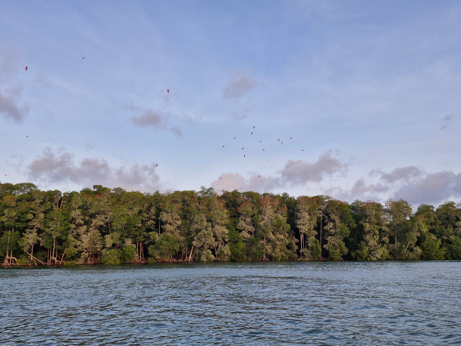 Foto: Reprodução/Secom Piauí